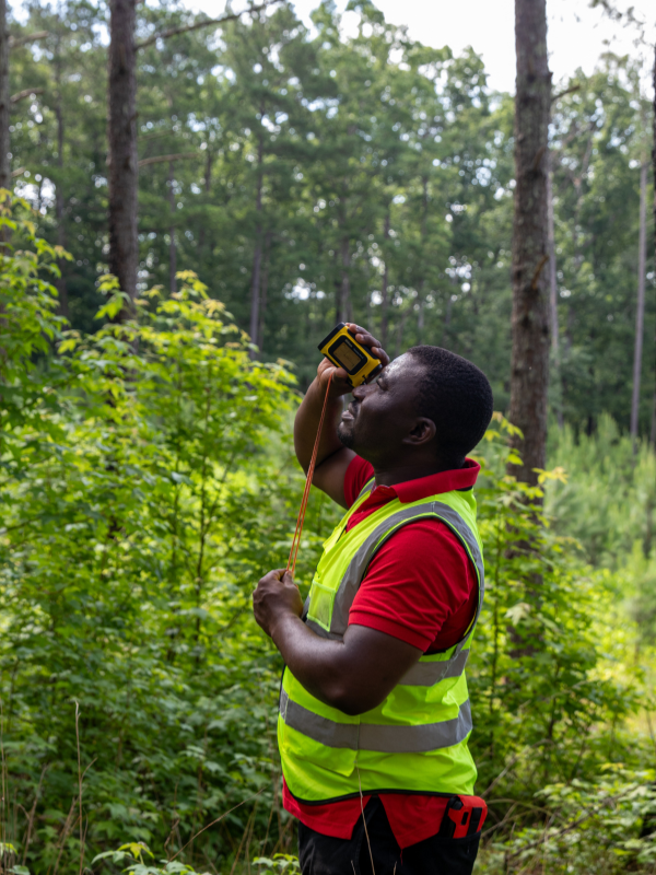 Villari Forest Pathology Lab