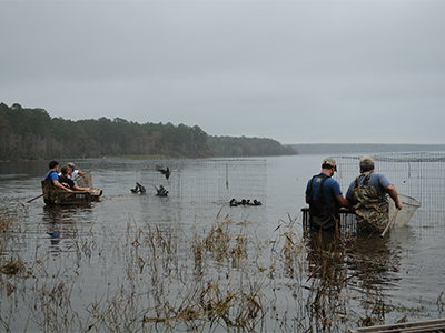 Field work