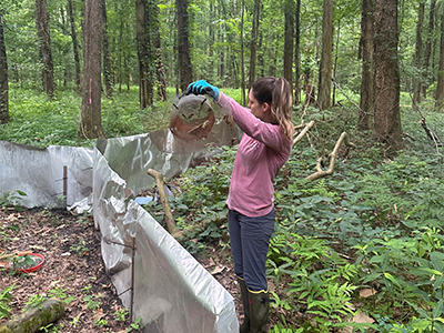 Drift fence monitoring