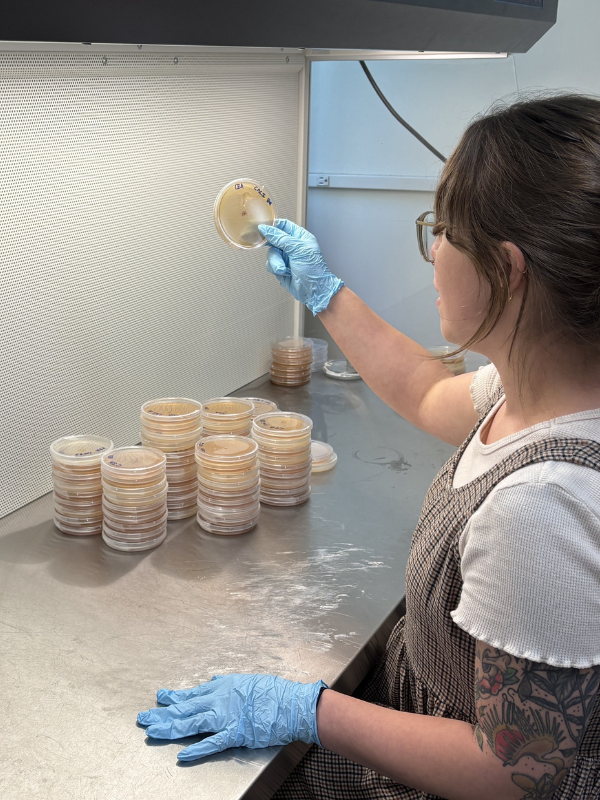 Forest Functional Genomics Lab