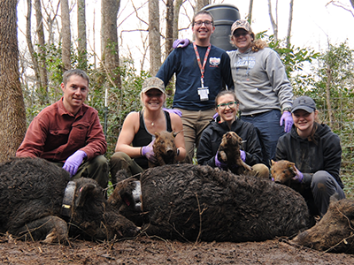 group photo with pig