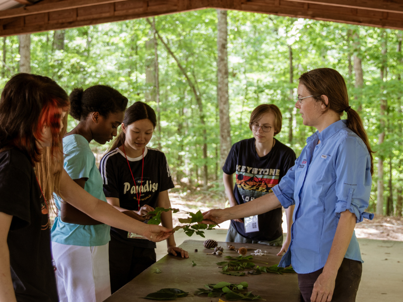 Outreach Image Students gathered around a table with leaves and pinecones on it