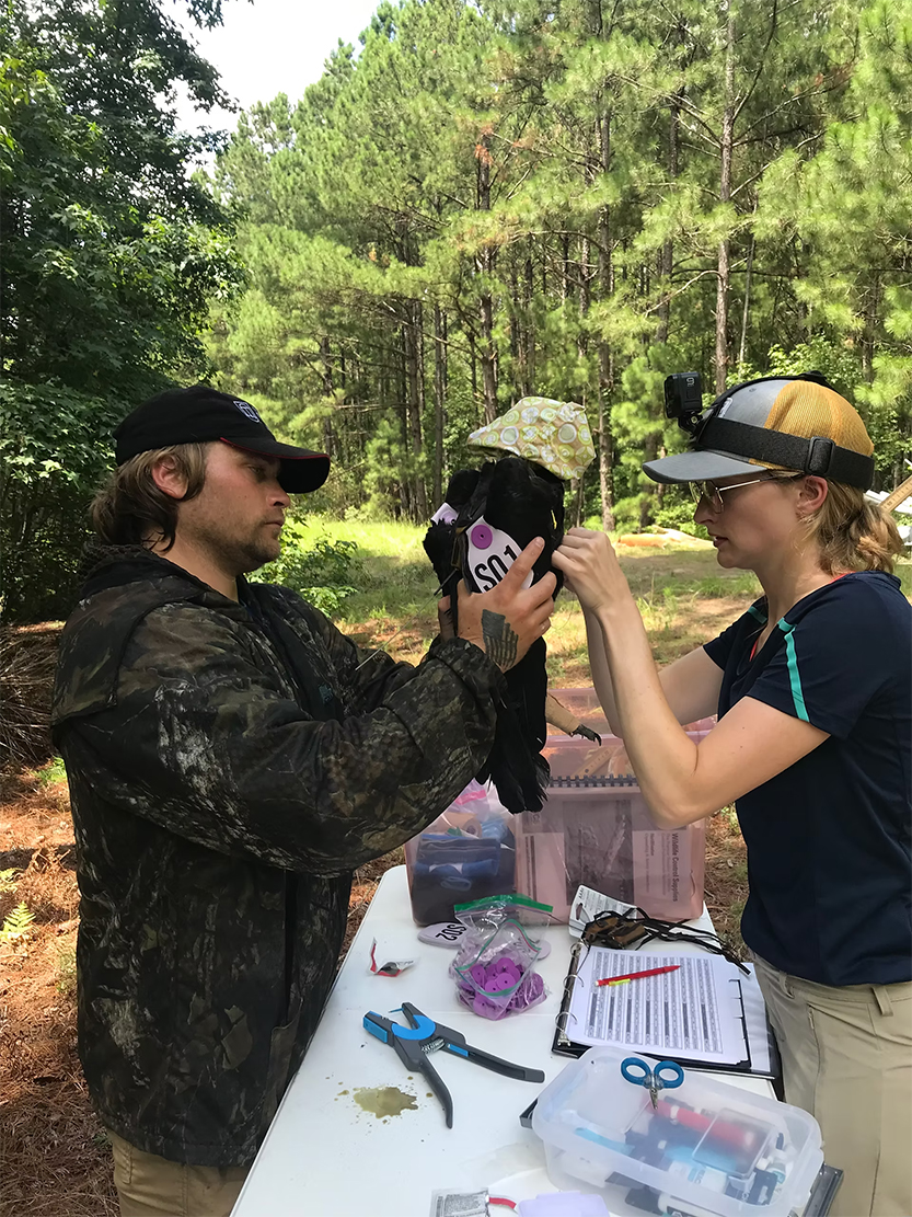 Devault Wildlife Lab